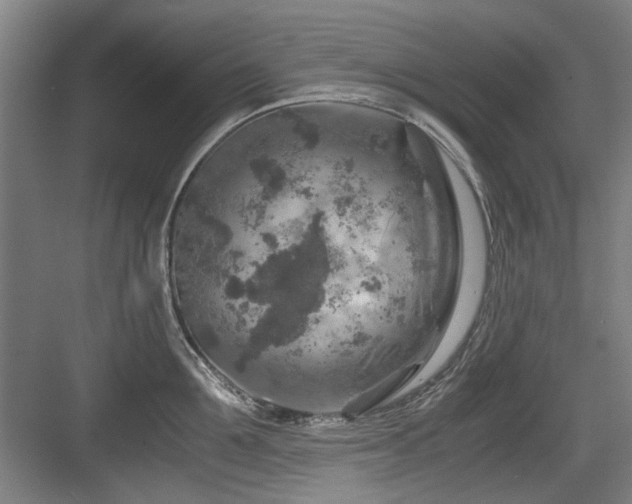 X0000084030907200702161431