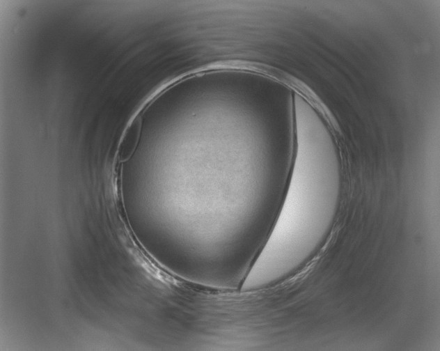 X0000084030908200702161431