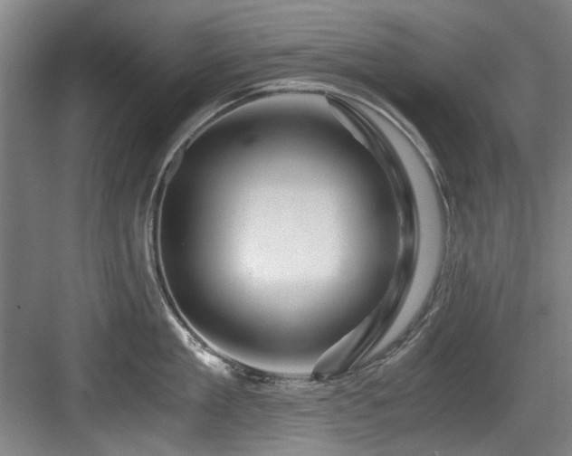 X0000084030909200702161431