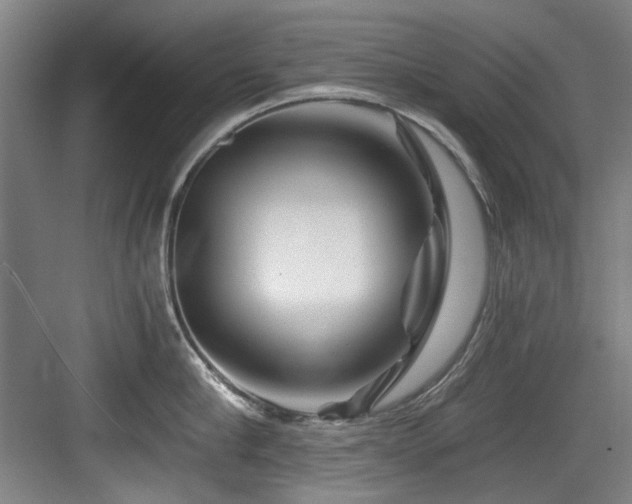 X0000084030910200702161431