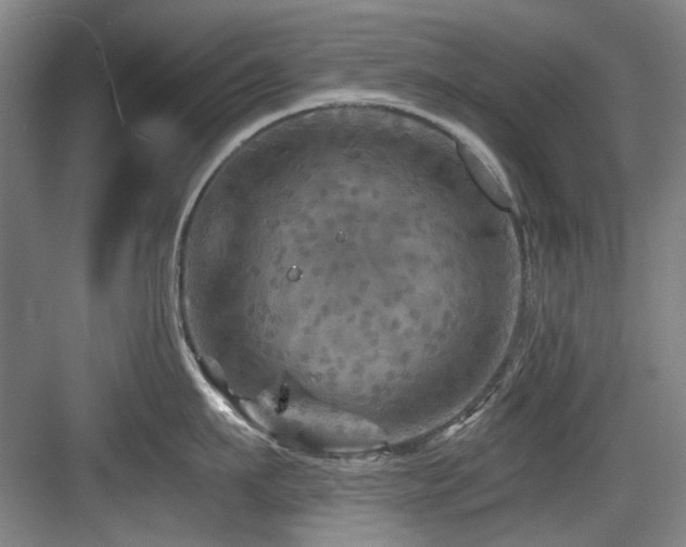 X0000084030911200702161431