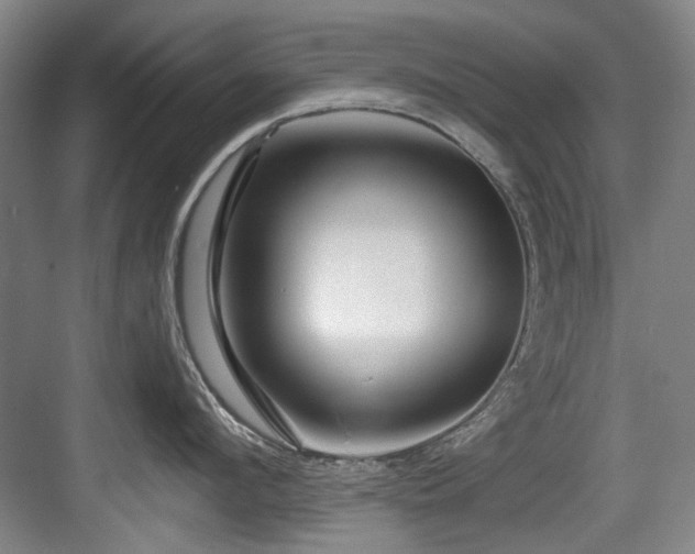 X0000084030912200702161431