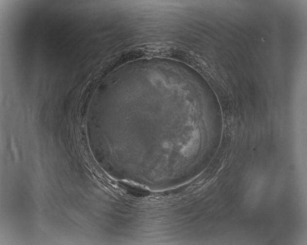 X0000084030913200702161430