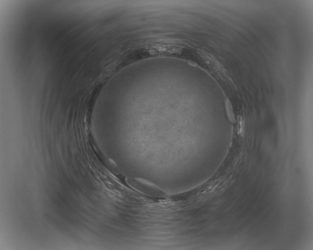 X0000084030915200702161430