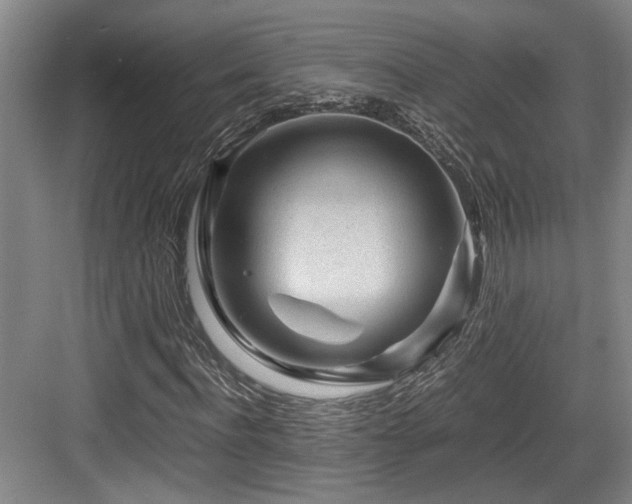 X0000084030916200702161430