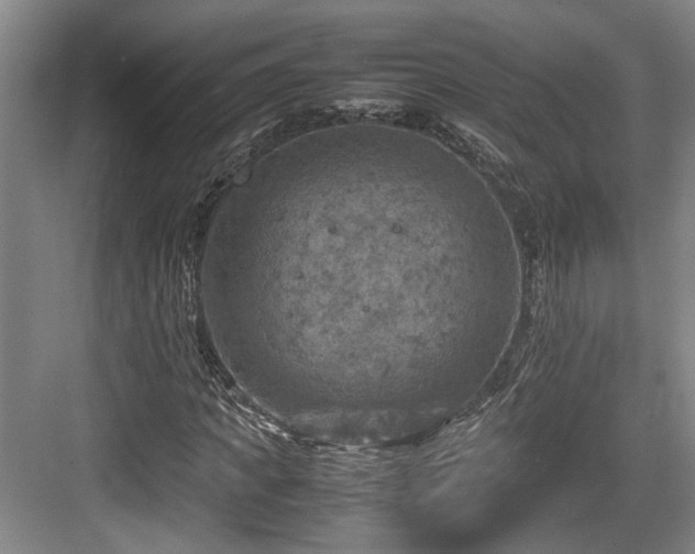 X0000084030917200702161430