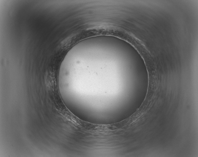 X0000084030918200702161430