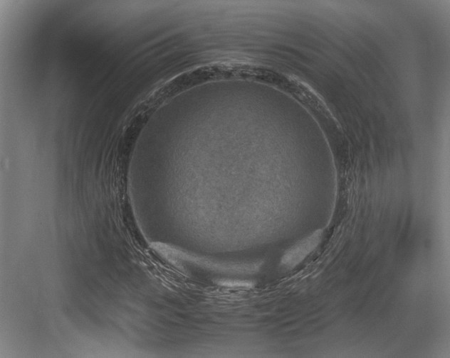 X0000084030919200702161430