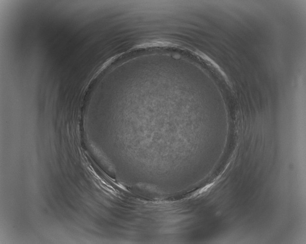 X0000084030921200702161430