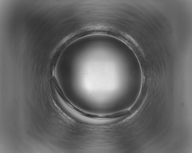 X0000084030922200702161431