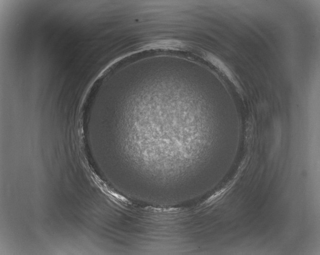 X0000084030923200702161431