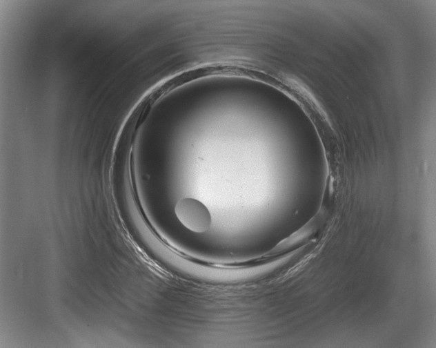 X0000084030924200702161431