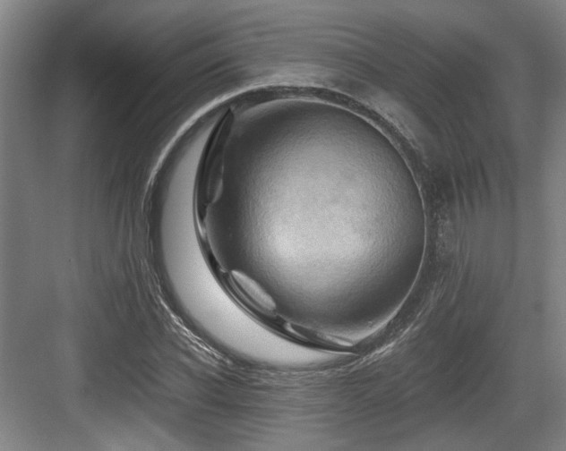 X0000084030926200702161431