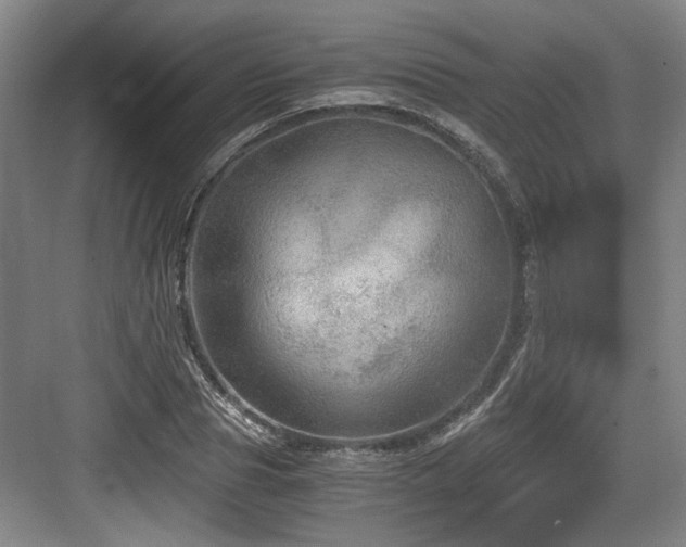 X0000084030929200702161431