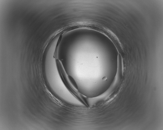 X0000084030930200702161431