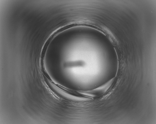 X0000084030932200702161431