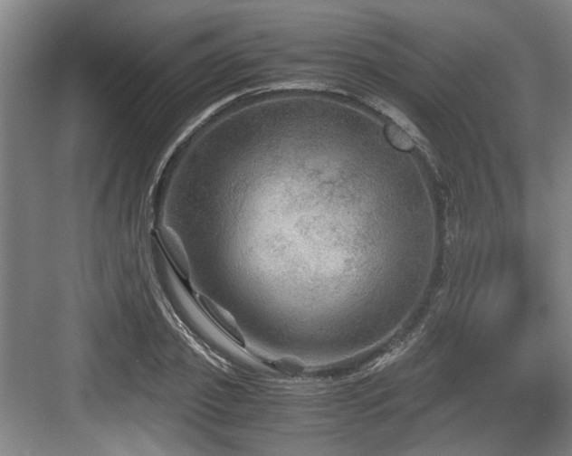 X0000084030933200702161431