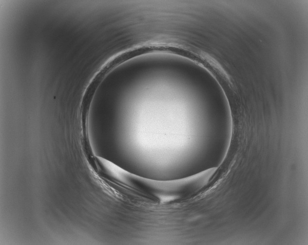 X0000084030934200702161431