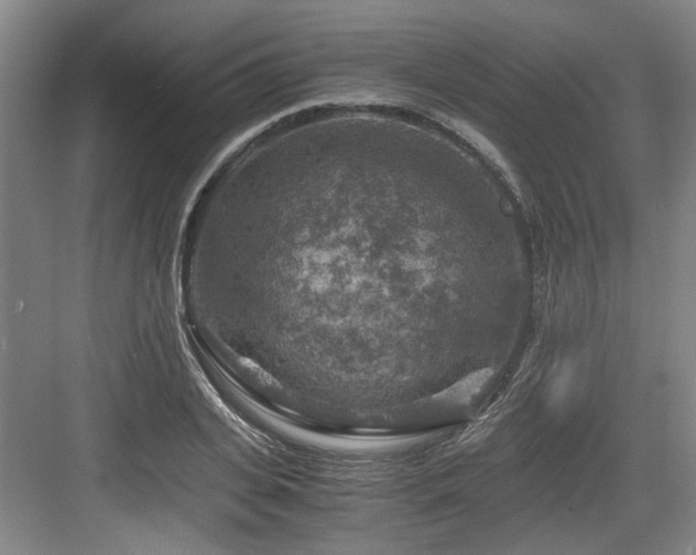 X0000084030935200702161431