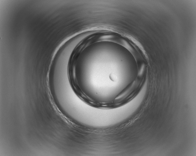 X0000084030936200702161431