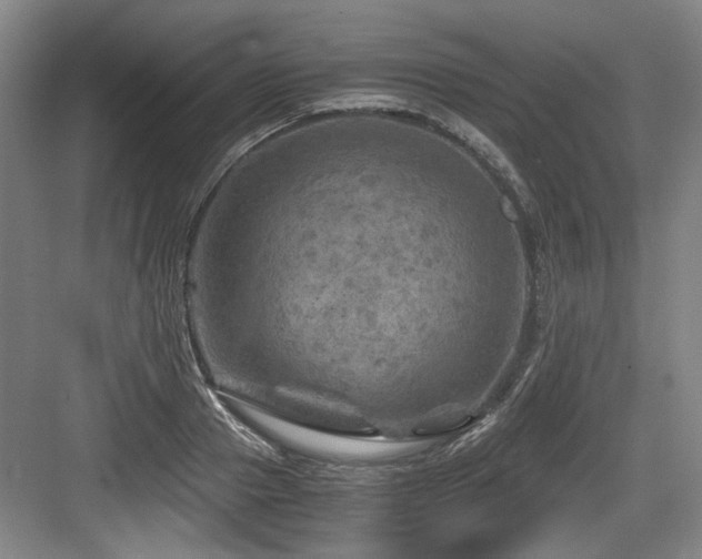 X0000084030937200702161431