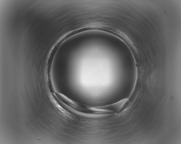 X0000084030939200702161431