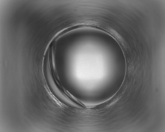 X0000084030940200702161431