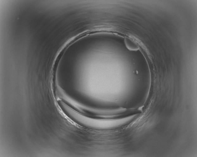 X0000084030941200702161431