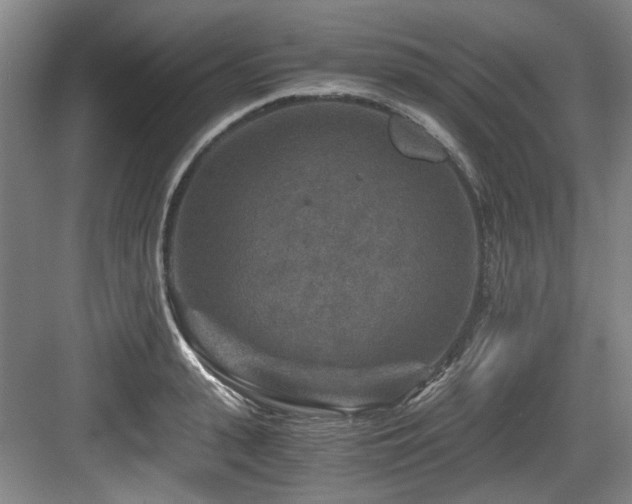 X0000084030943200702161431