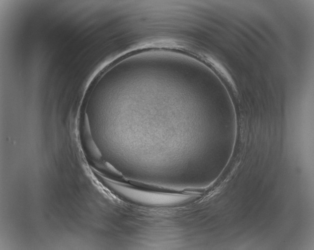 X0000084030944200702161431