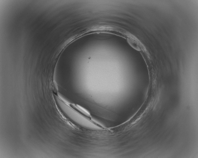 X0000084030945200702161431