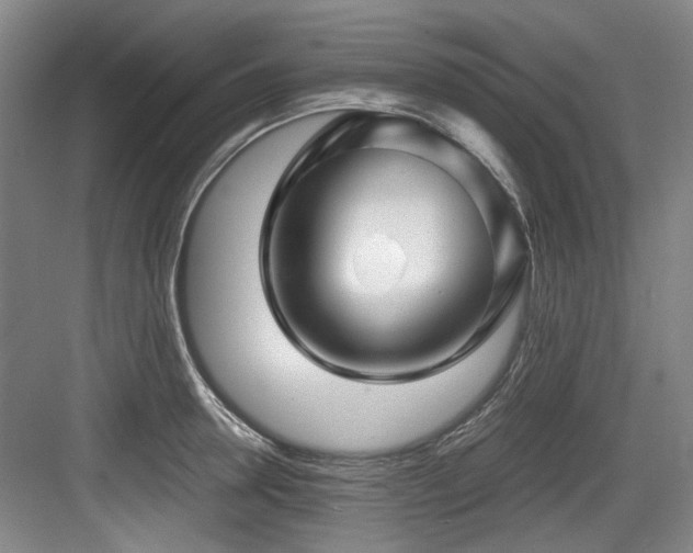 X0000084030946200702161431