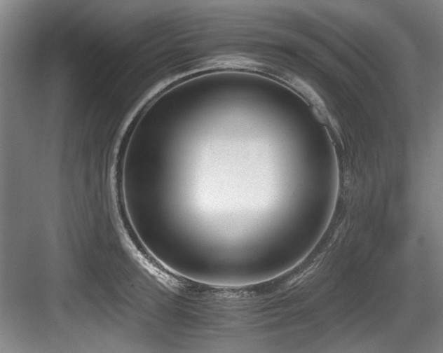 X0000084030947200702161431