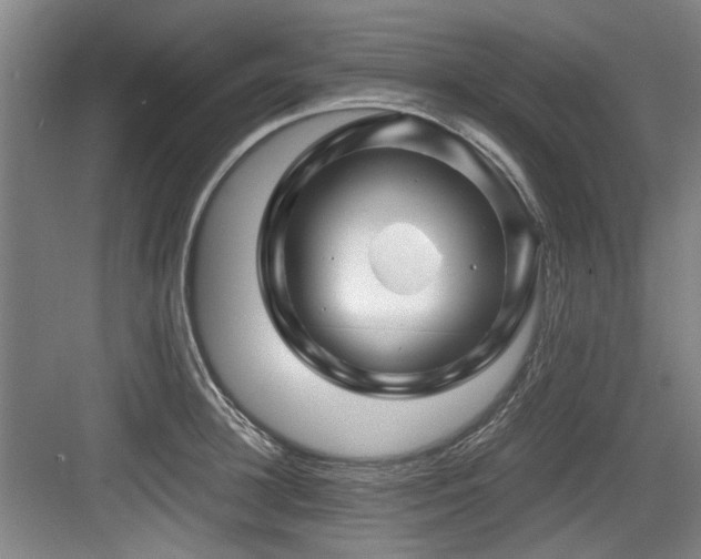 X0000084030948200702161431