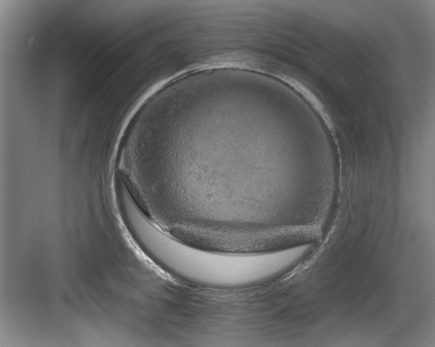 X0000084030949200702161431