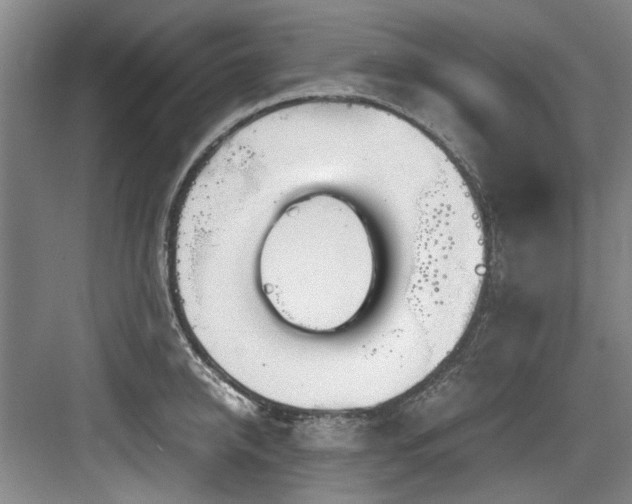 X0000084030950200702161431