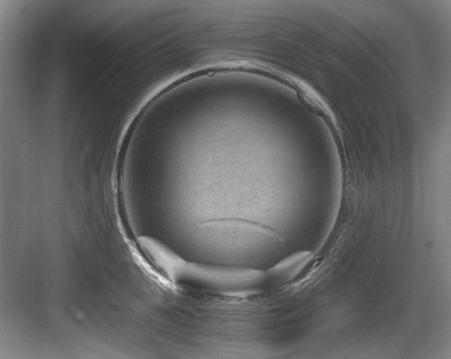 X0000084030951200702161431