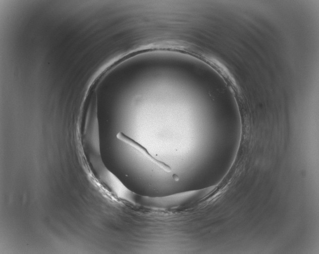 X0000084030952200702161431