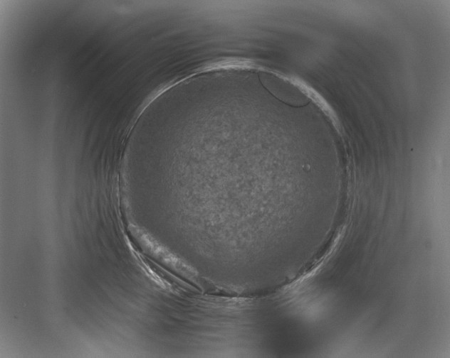 X0000084030953200702161431