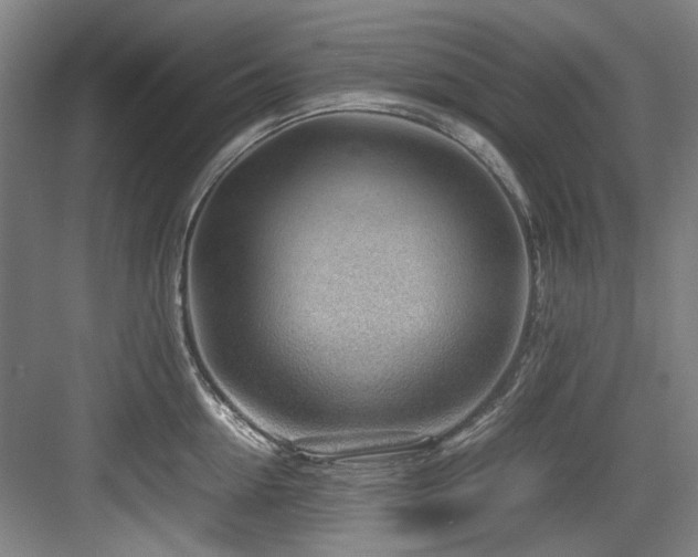 X0000084030954200702161431