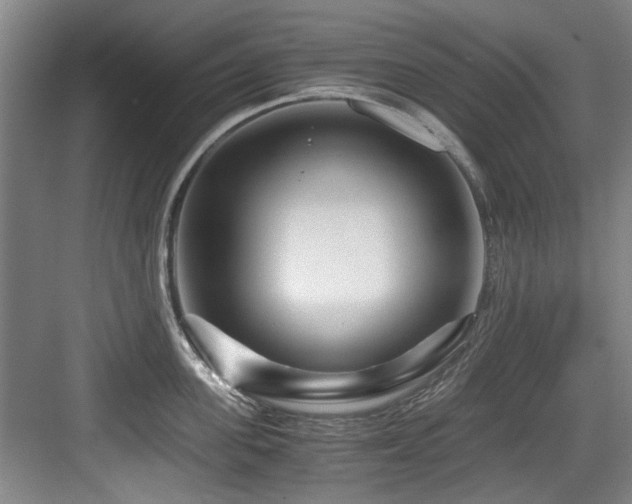 X0000084030955200702161431