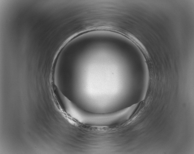 X0000084030956200702161431