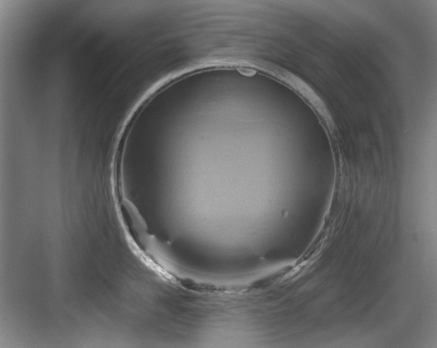 X0000084030958200702161431