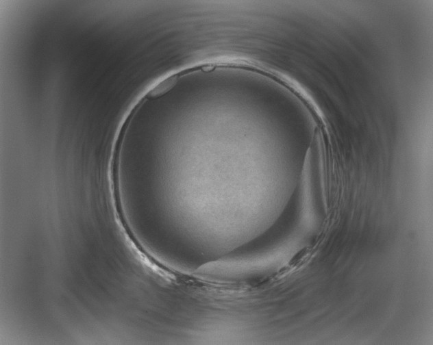 X0000084030959200702161431