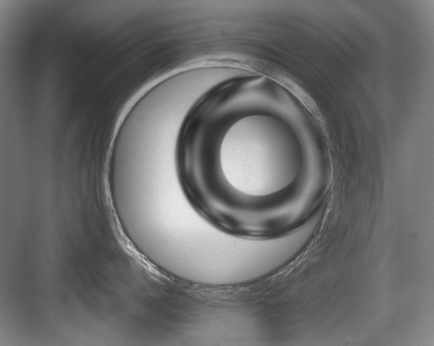 X0000084030960200702161431