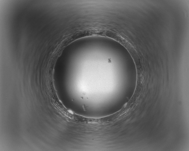 X0000084030961200702161430