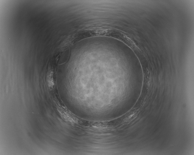 X0000084030962200702161430