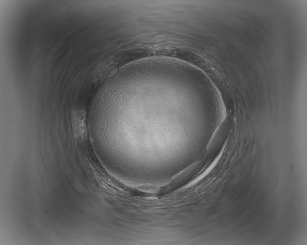 X0000084030963200702161430