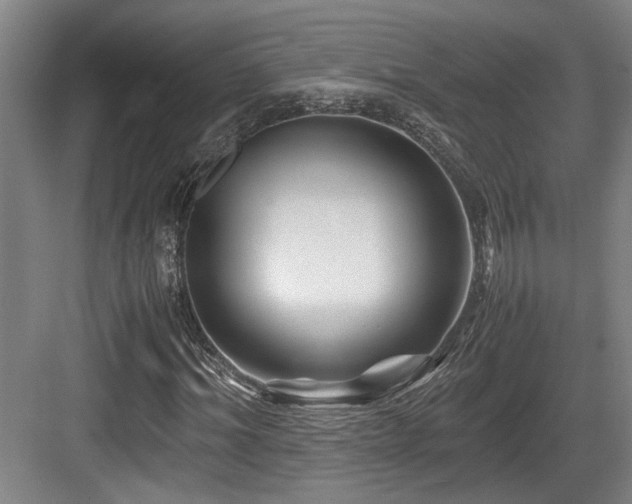 X0000084030964200702161430