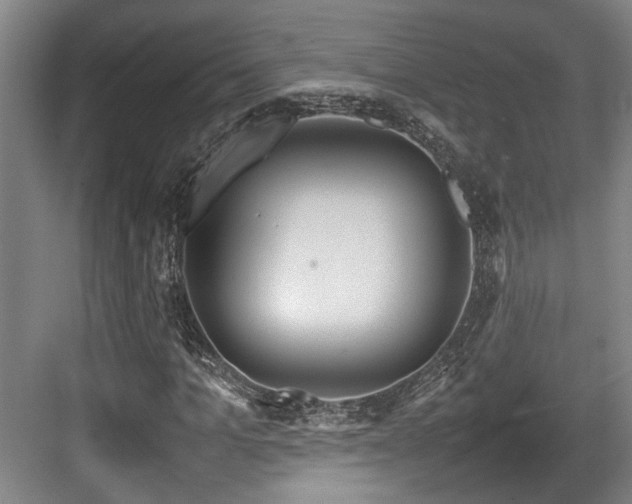 X0000084030965200702161430